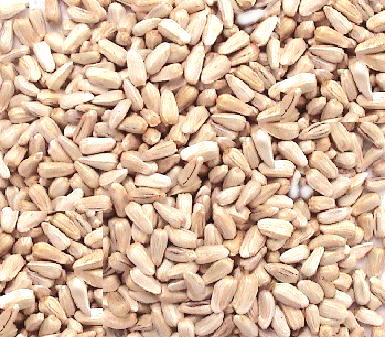 Organic Safflower Seed: 1/2 Pound